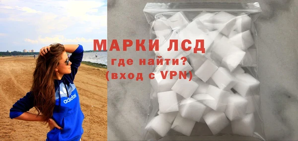 стаф Алзамай