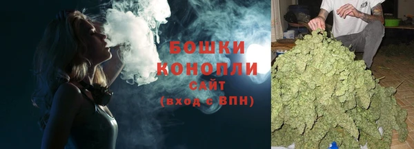 ГАЛЛЮЦИНОГЕННЫЕ ГРИБЫ Алексин