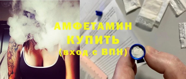 стаф Алзамай