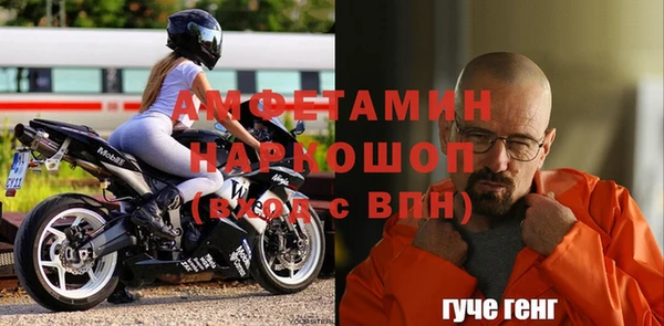 стаф Алзамай