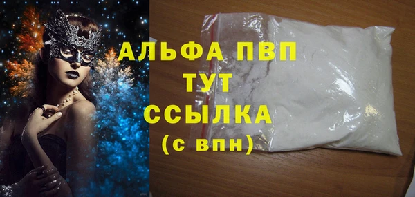стаф Алзамай