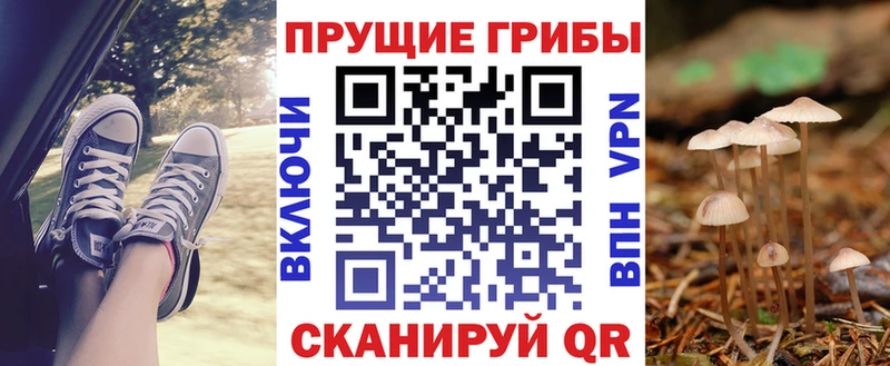 Галлюциногенные грибы Psilocybe  Нижняя Салда 